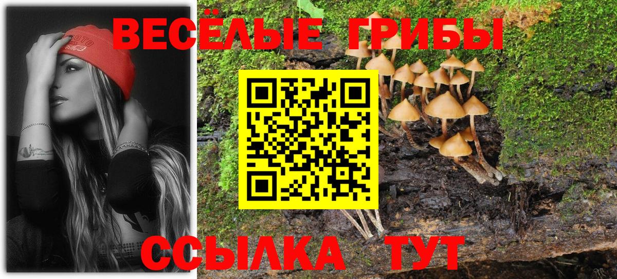 Новокубанск  Псилоцибиновые грибы прущие грибы  как найти наркотики  Вход с VPN 
